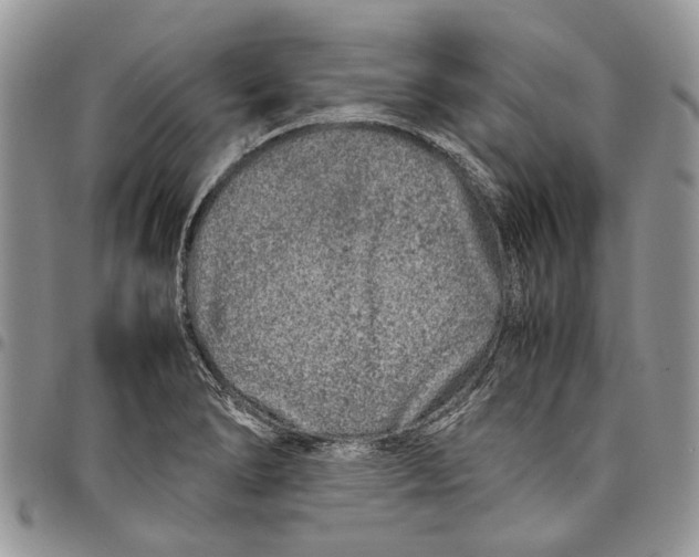 X0000097781278200803281653