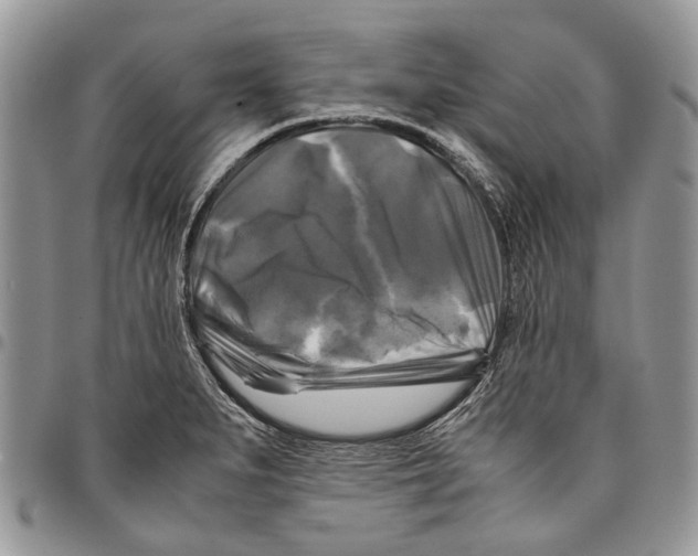 X0000097781279200803281653