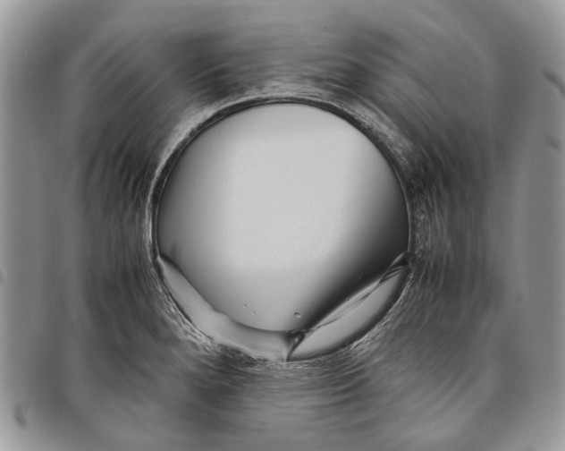 X0000097781280200803281653