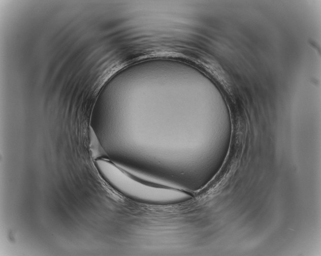 X0000097781281200803281653