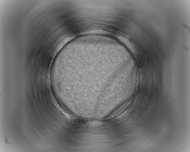 X0000097781282200803281653