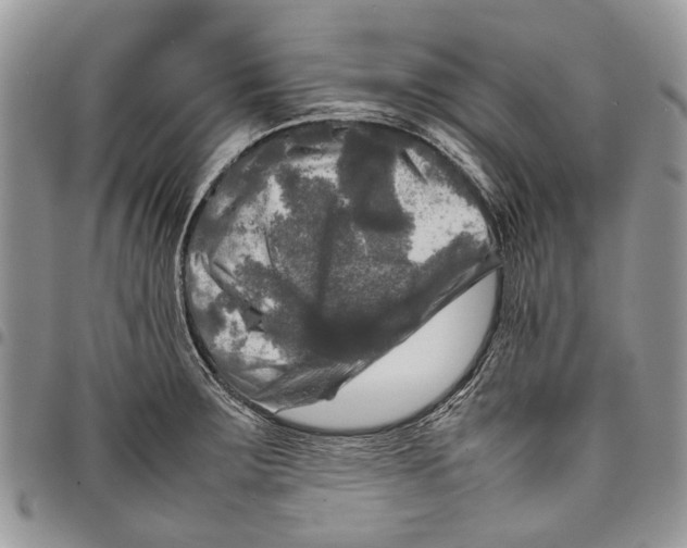 X0000097781283200803281653