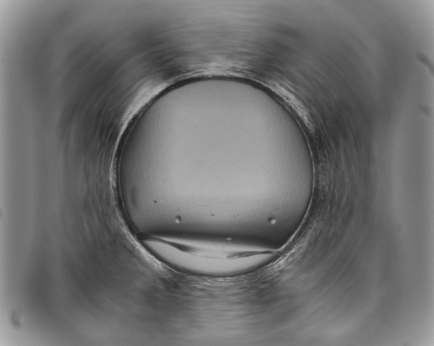 X0000097781285200803281653