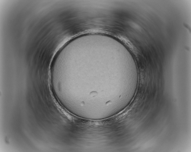 X0000097781286200803281653