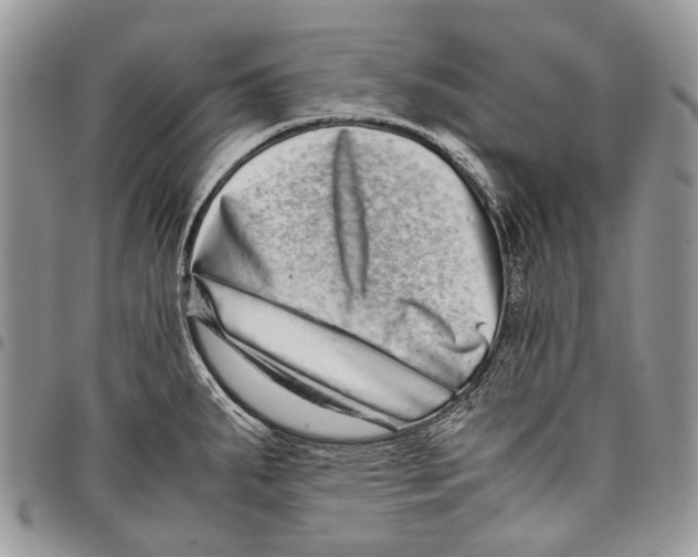 X0000097781287200803281653