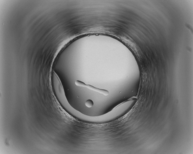 X0000097781288200803281653