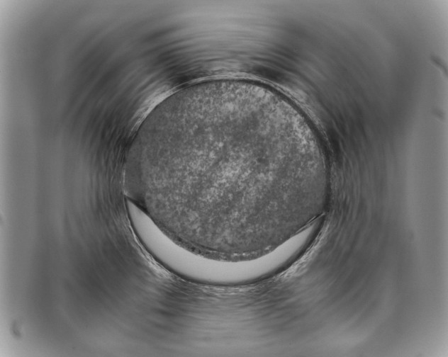 X0000097781289200803281653