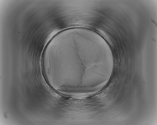 X0000097781291200803281653