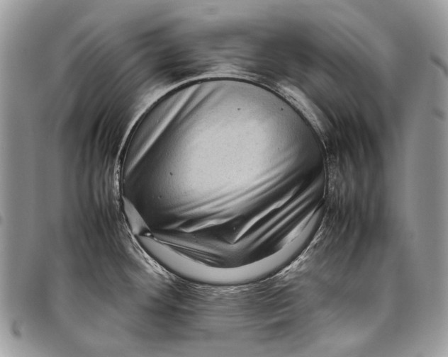 X0000097781292200803281653