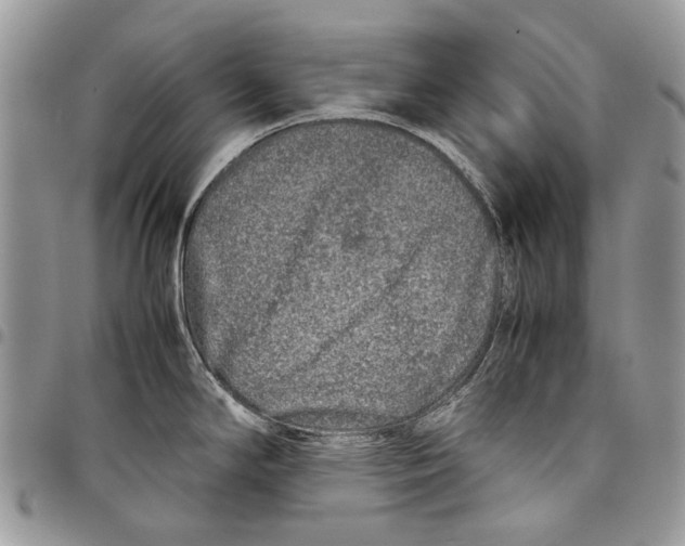 X0000097781294200803281653