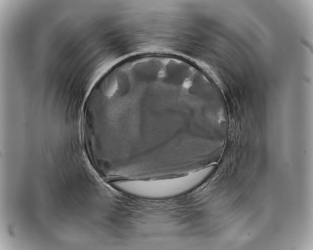 X0000097781295200803281653