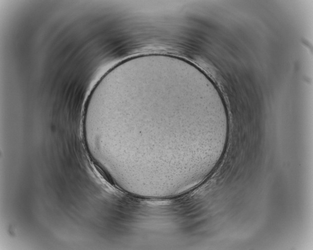 X0000097781296200803281653