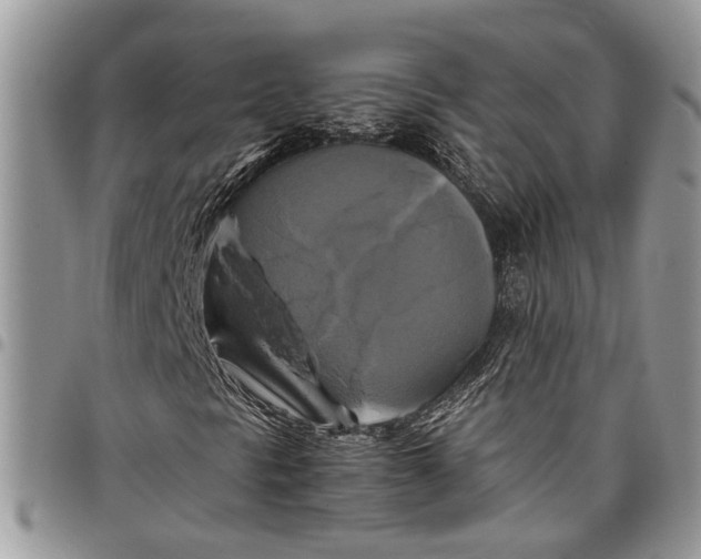 X0000097781297200803281652