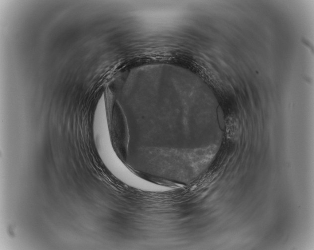 X0000097781298200803281652