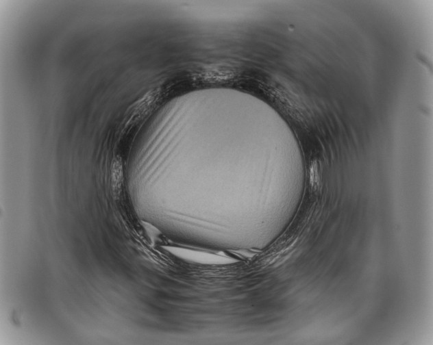 X0000097781299200803281652