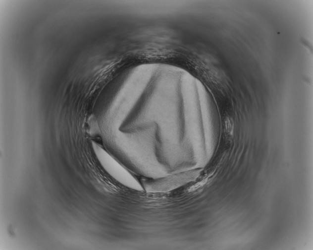 X0000097781300200803281652