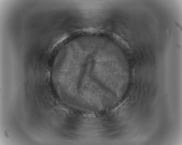 X0000097781302200803281652