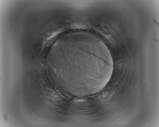 X0000097781303200803281653