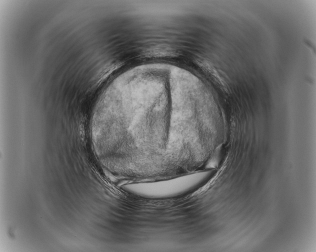 X0000097781305200803281653