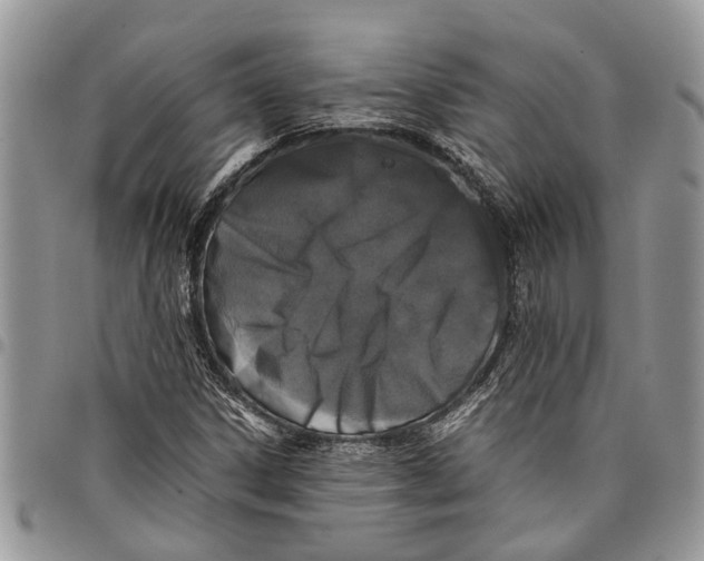 X0000097781306200803281653