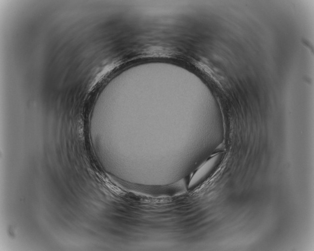 X0000097781307200803281653