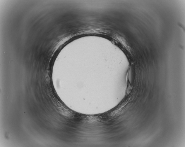 X0000097781308200803281653