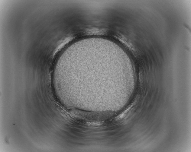 X0000097781309200803281653