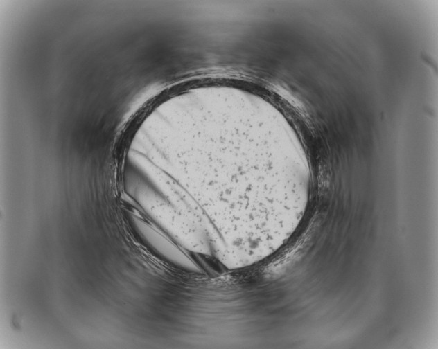 X0000097781310200803281653