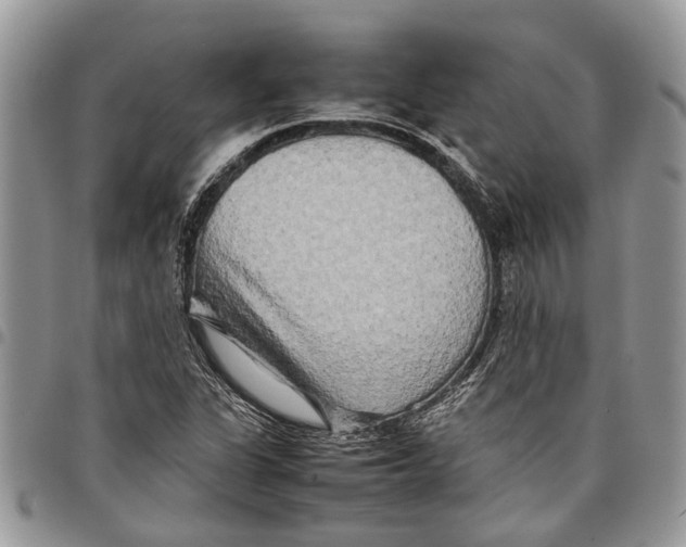 X0000097781311200803281653