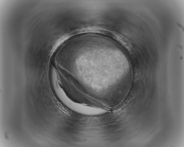 X0000097781312200803281653