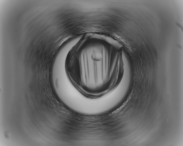 X0000097781313200803281653