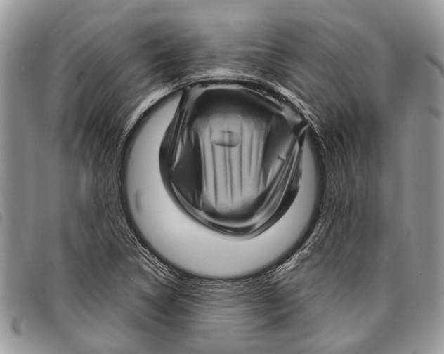 X0000097781314200803281653