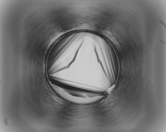 X0000097781316200803281653