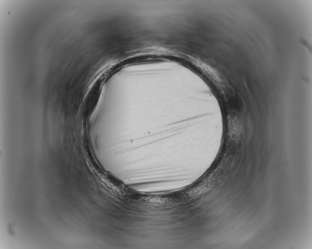 X0000097781318200803281653