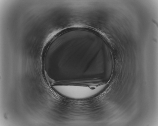 X0000097781319200803281653