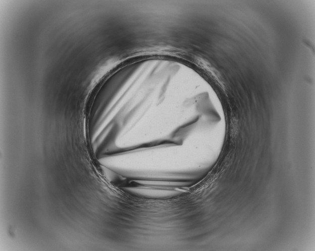 X0000097781320200803281653