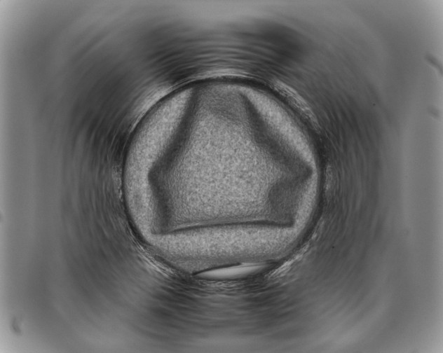 X0000097781321200803281653