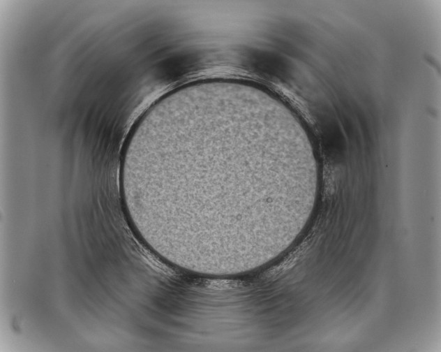 X0000097781322200803281653