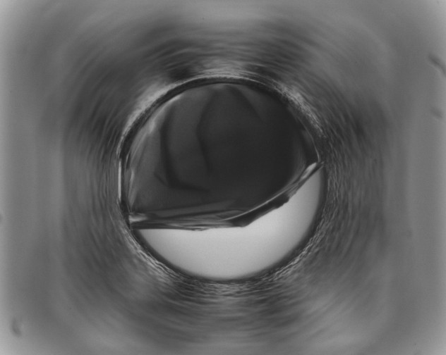 X0000097781323200803281653