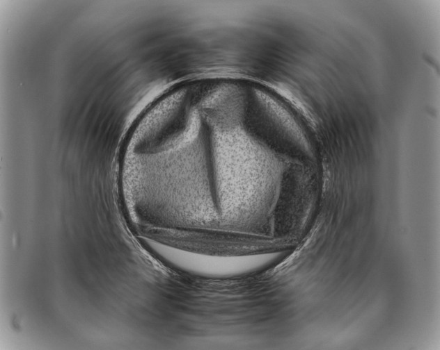 X0000097781325200803281653