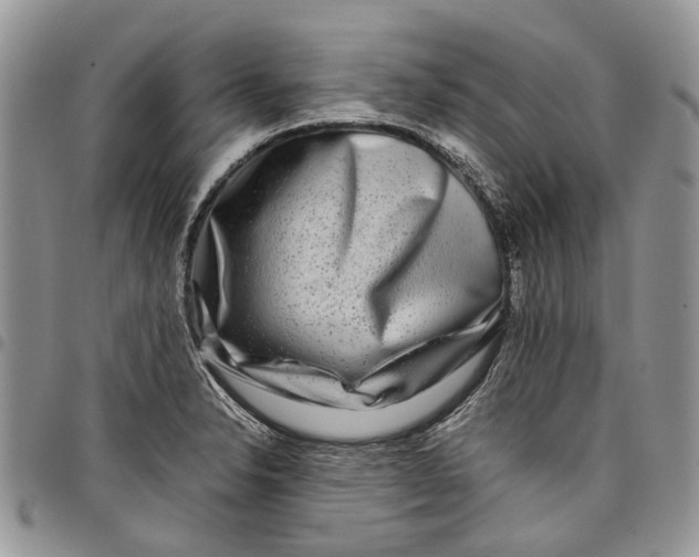 X0000097781326200803281653