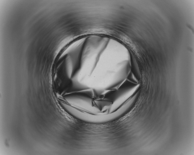 X0000097781328200803281653