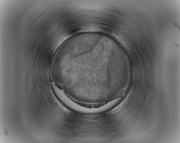 X0000097781329200803281653