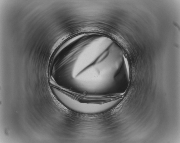 X0000097781330200803281653