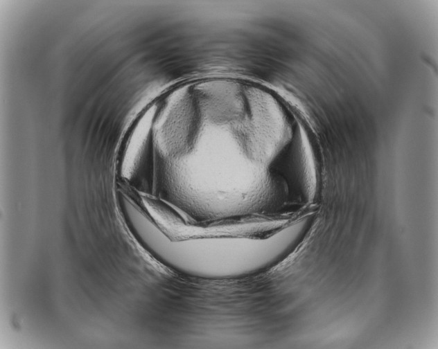 X0000097781333200803281653