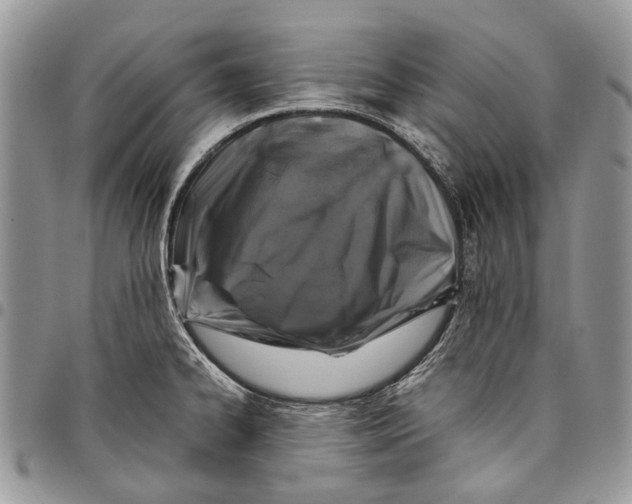 X0000097781334200803281653