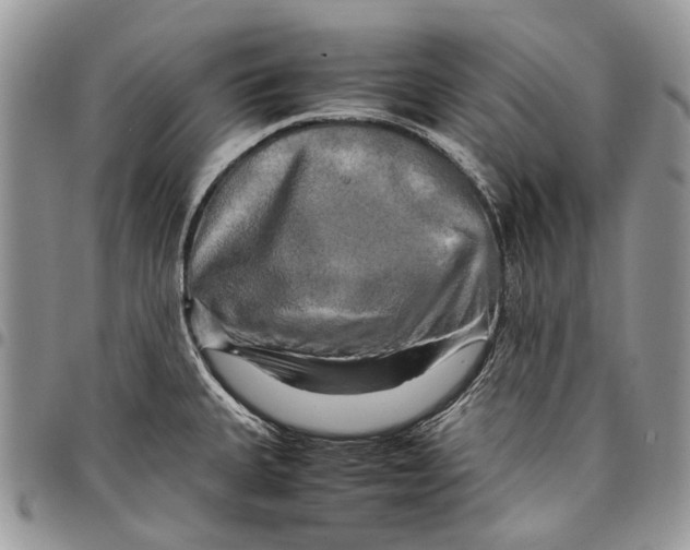 X0000097781335200803281653