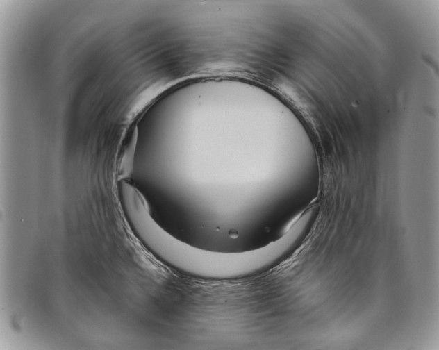 X0000097781336200803281653