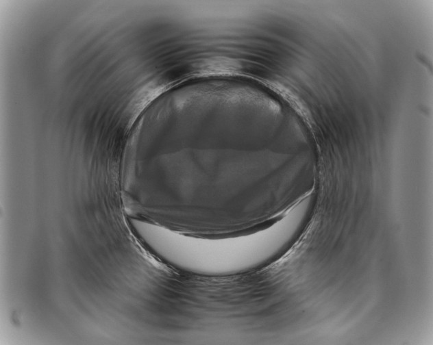 X0000097781337200803281653