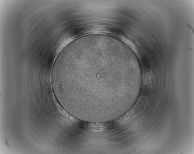 X0000097781338200803281653